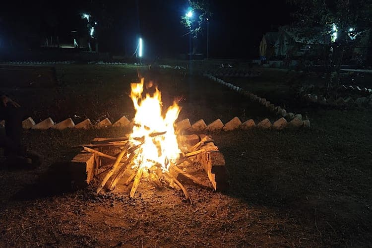 Bonfire Evenings